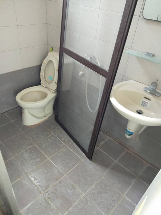 �x�����C��ӲM