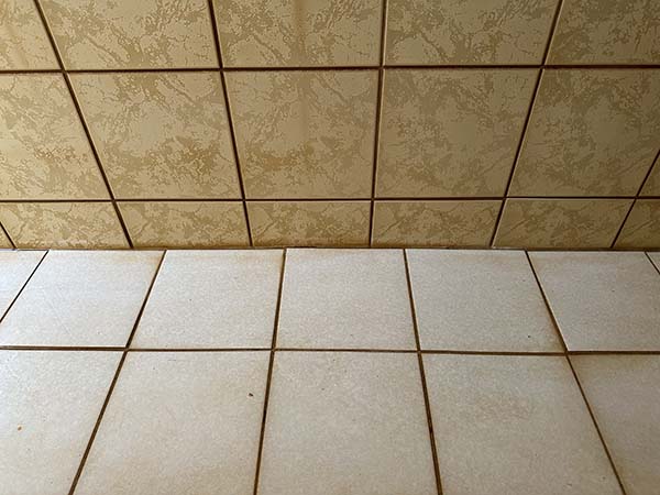 �x���~����