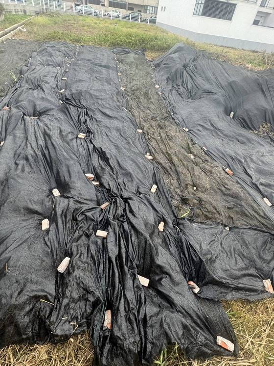 �x���M���ί�