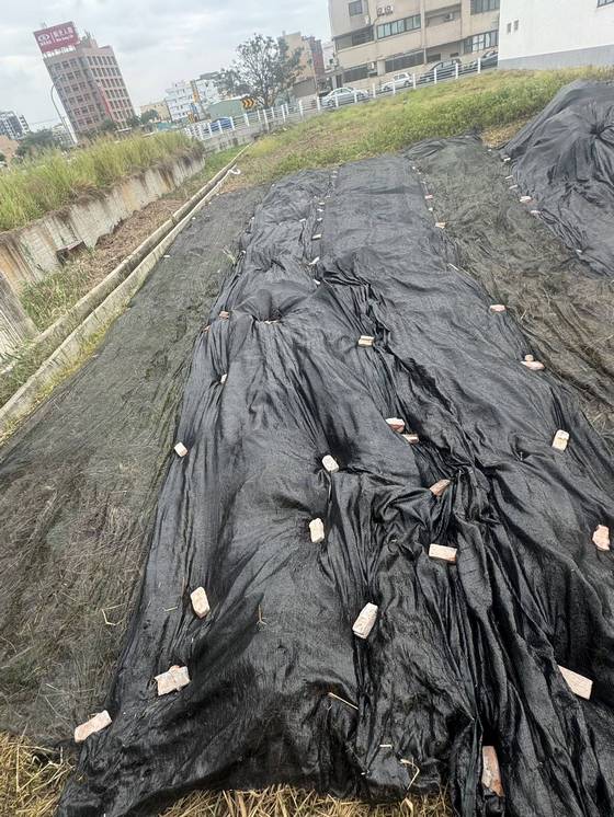 �x���M���ί�