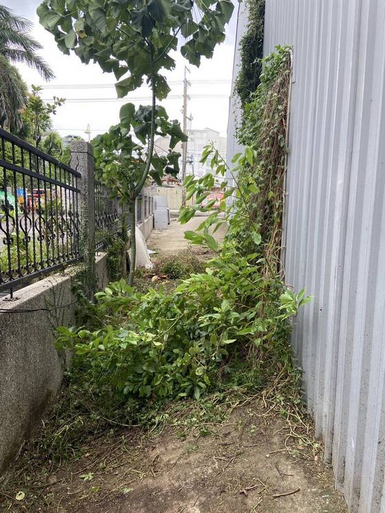 �x���j���ί�