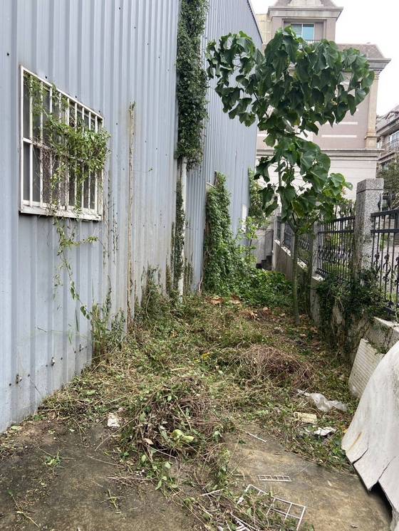 �x���j���ί�