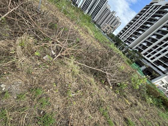 �x���M���ί�