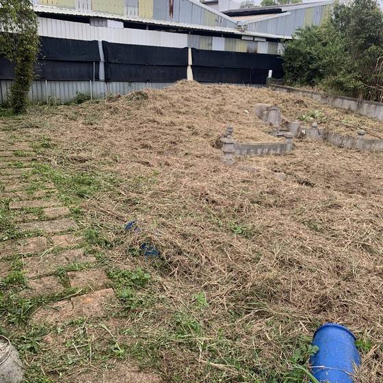 �x���s�����ӳί�