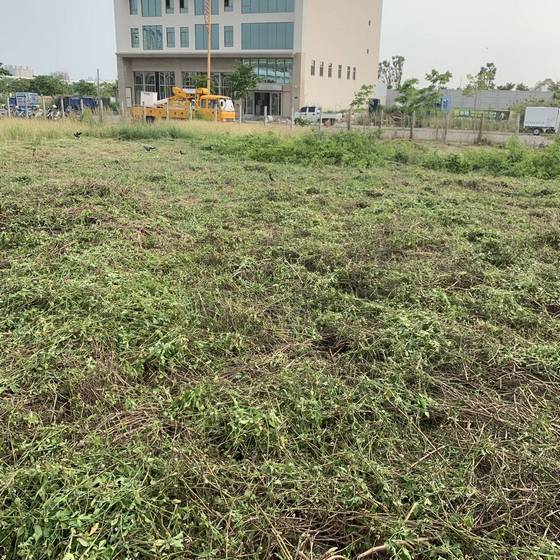 �x�����ί�