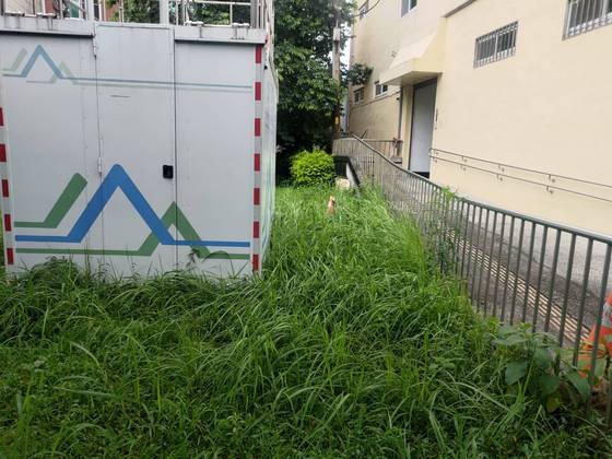 �x���M���ϳί�