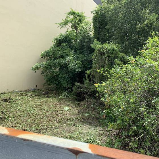 �x���Q��ί�