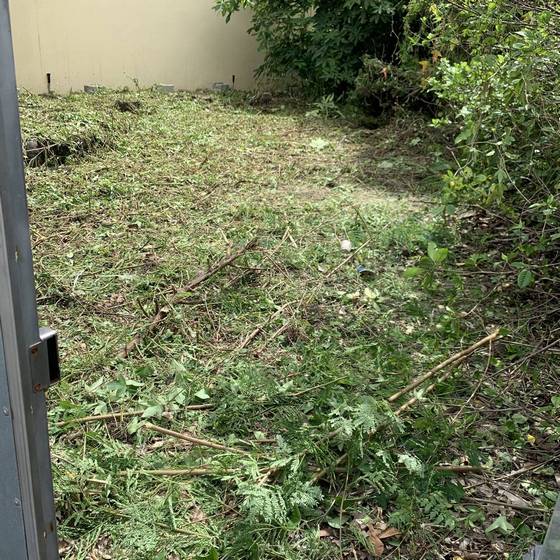 �x���Q��ί�