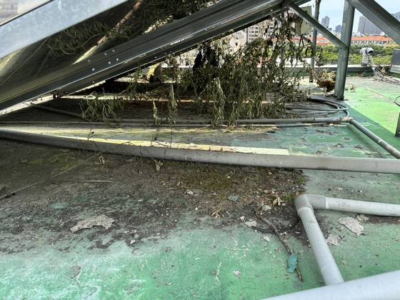 �x���ӥ��ϰ���