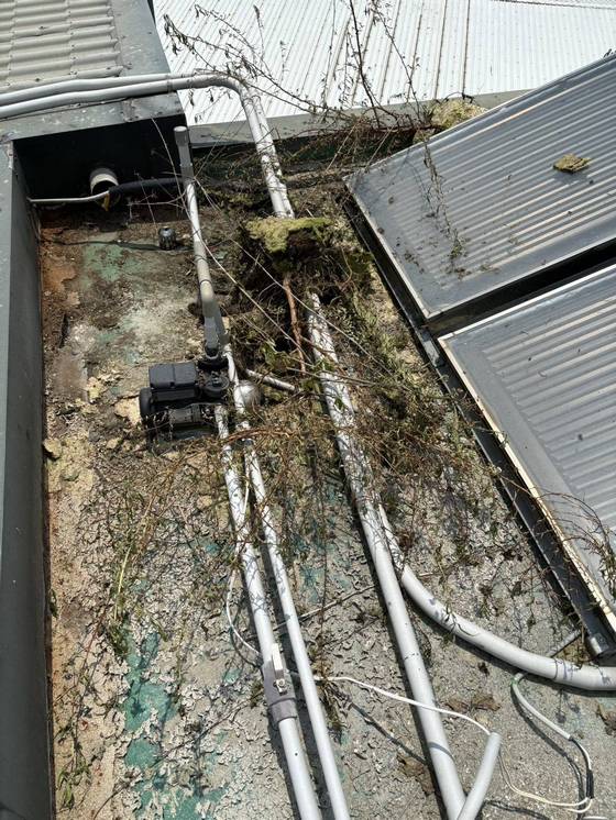 �x���ӥ��ϰ���