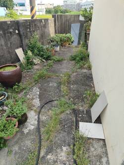 ���p�ϳί�