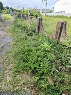 ���p�ϳί�