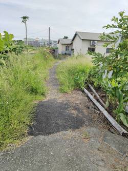 ���p�ϳί�