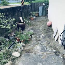 ���p�ϳί�