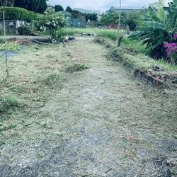 ���p�ϳί�