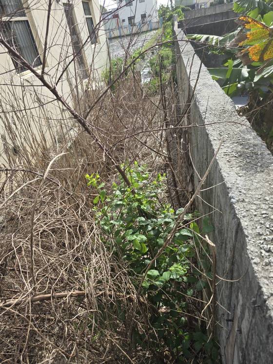 ���Ʒ˴�ί�