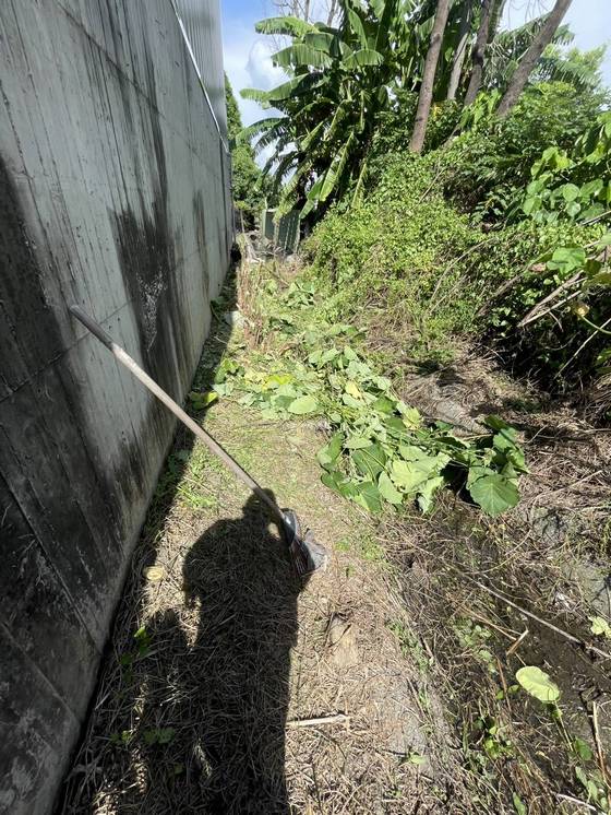 ���Ʒ˴�ί�