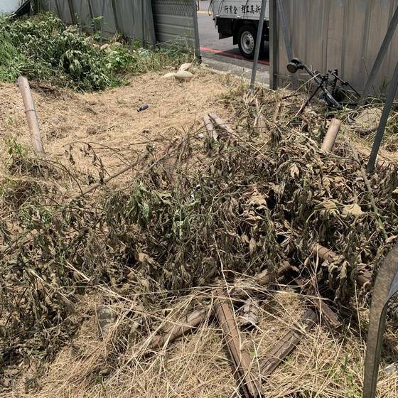 �x������ٳί�