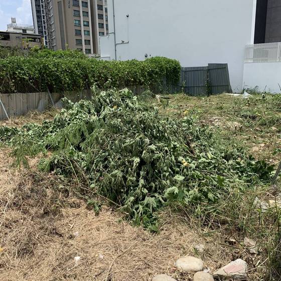 �x������ٳί�