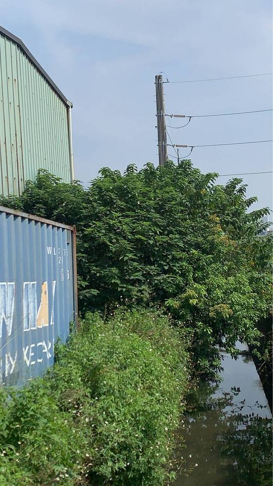 �x�������ϳί�