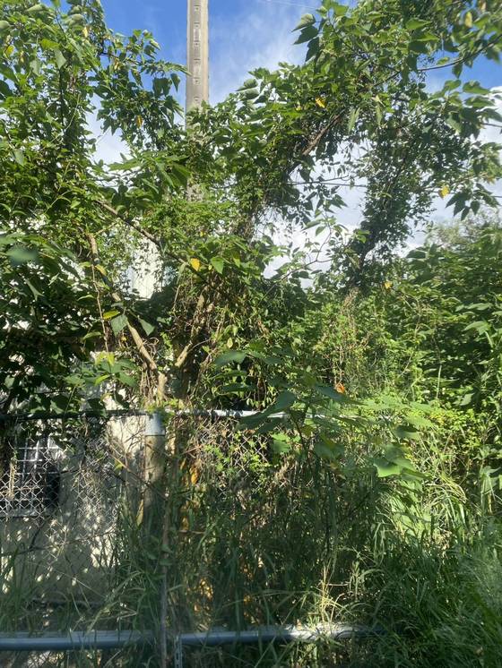 �x�������ί�