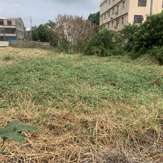 �x����ϳί�