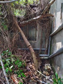 �x���׭�ί�