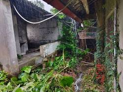 �x���׭�ί�