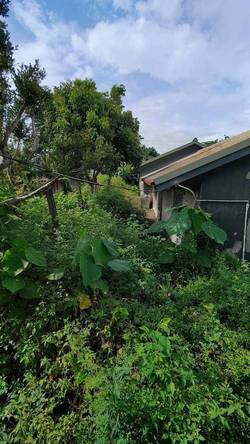 �x���׭�ί�