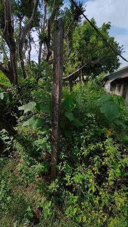 �x���׭�ί�