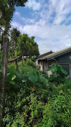 �x���׭�ί�