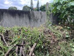 �x���׭�ί�