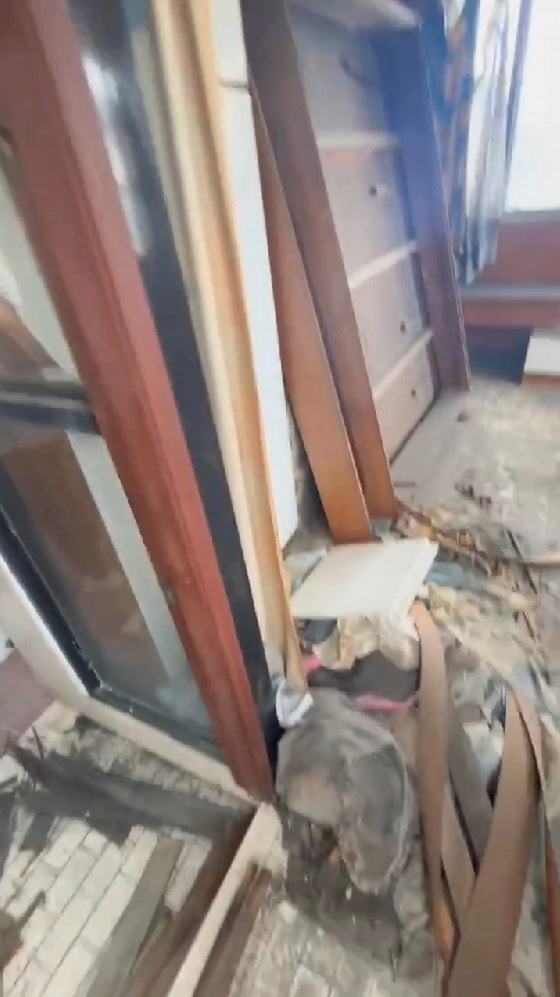 �x�����C�