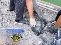 �x�����۩