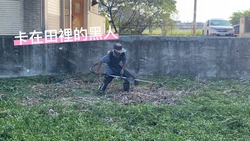 台中清水區割草