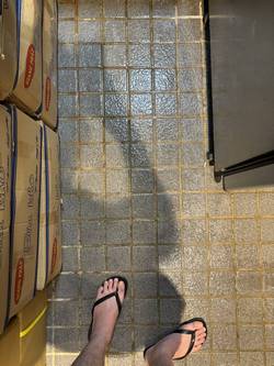 �s�˻E�� �V���Ʋz �p�Ъo���M��