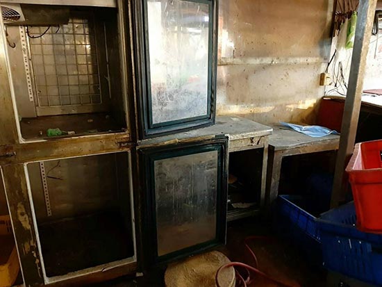 �x���������M��