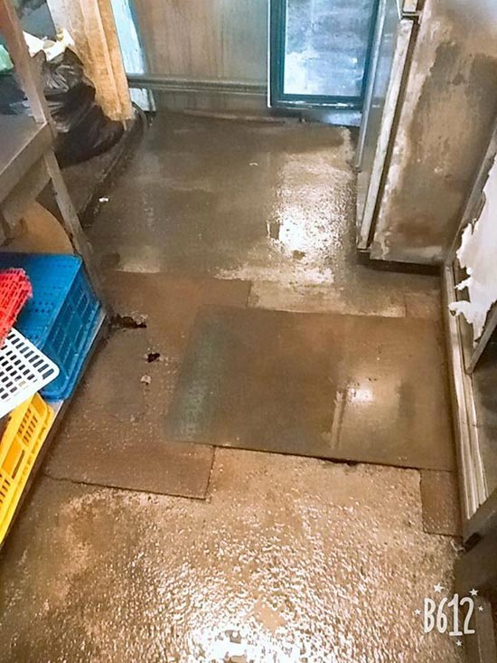 �x���������M��