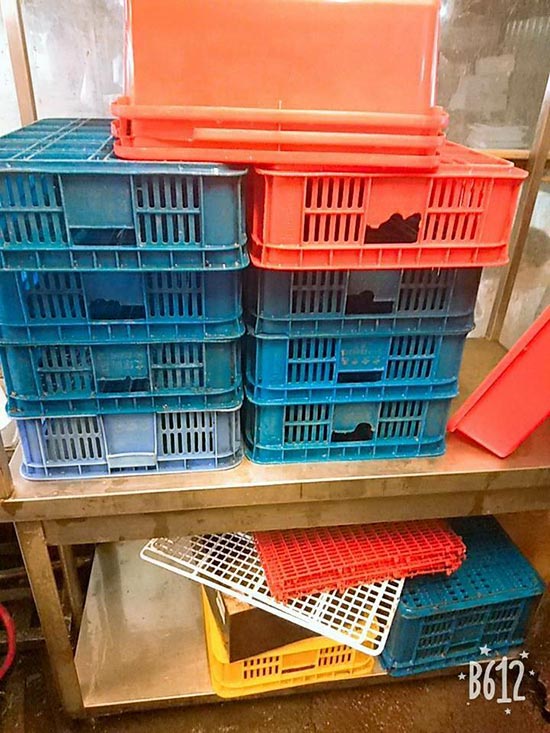 �x���������M��