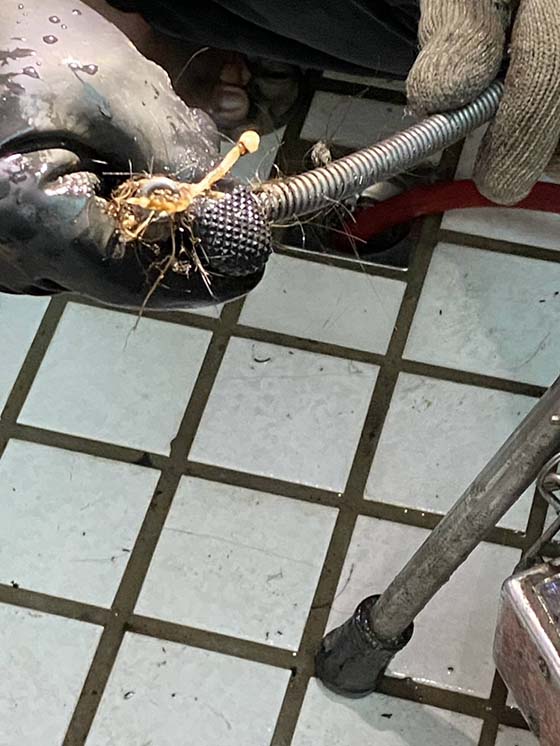 �n��q����