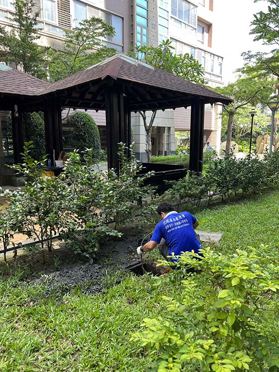 �n��q����