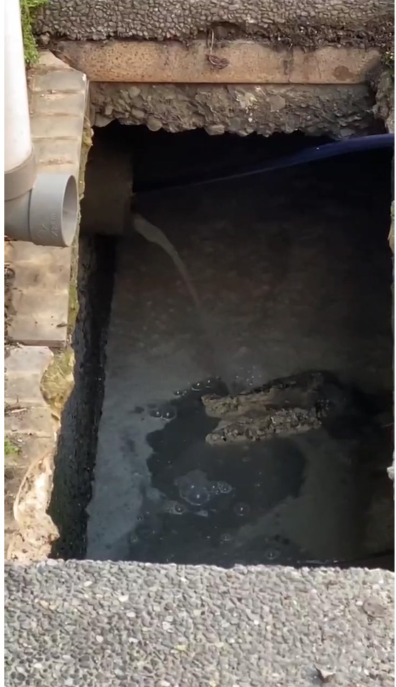 �n����M�q����