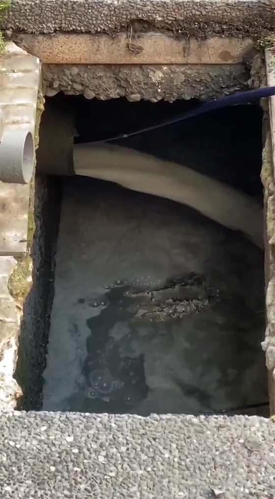 �n����M�q����