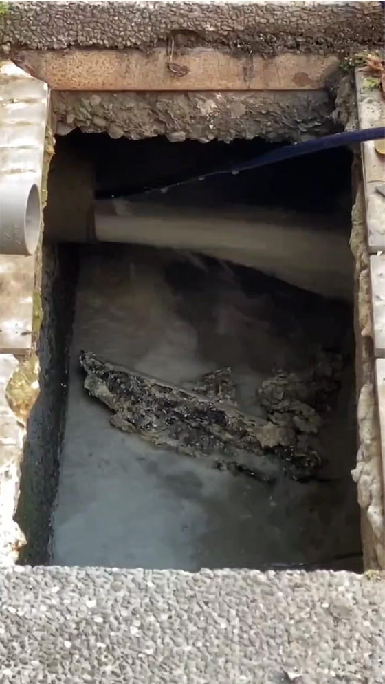 �n����M�q����