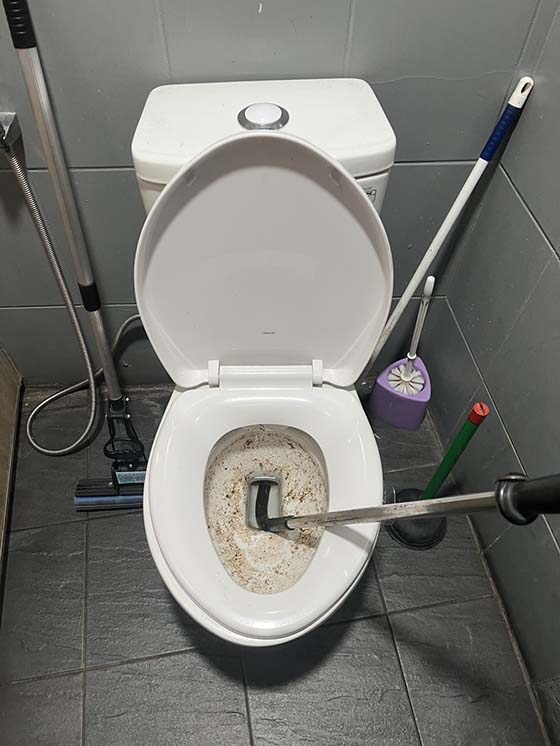 �n��q����