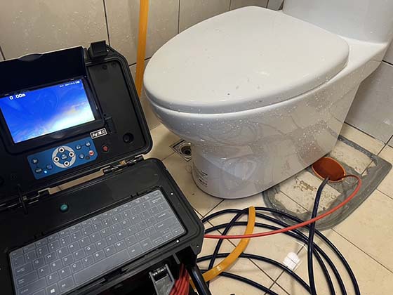 �n��q�����q�T��