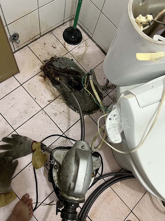 �n��q�����q�T��