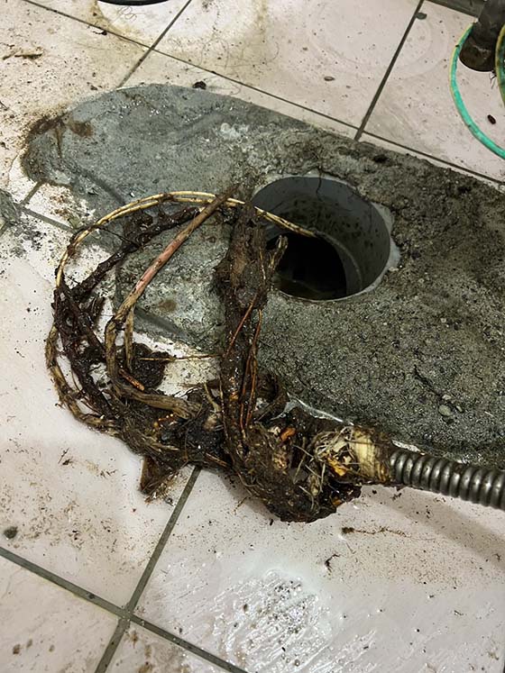 �n��q�����q�T��