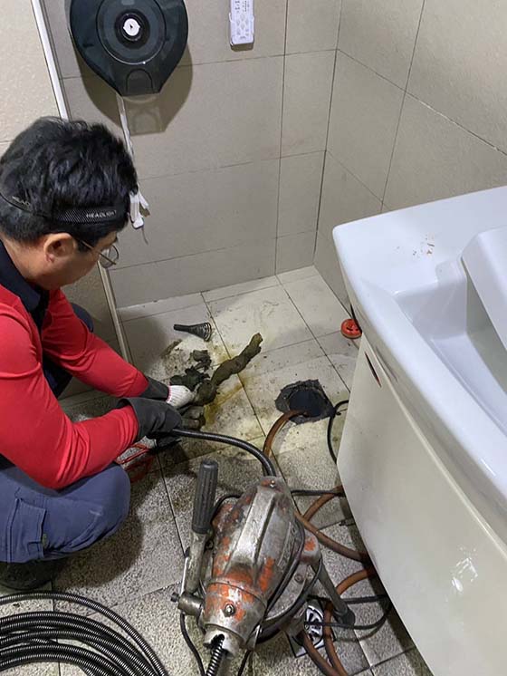 �n��q�����q�T��