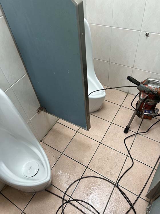 �n��q�p�K��